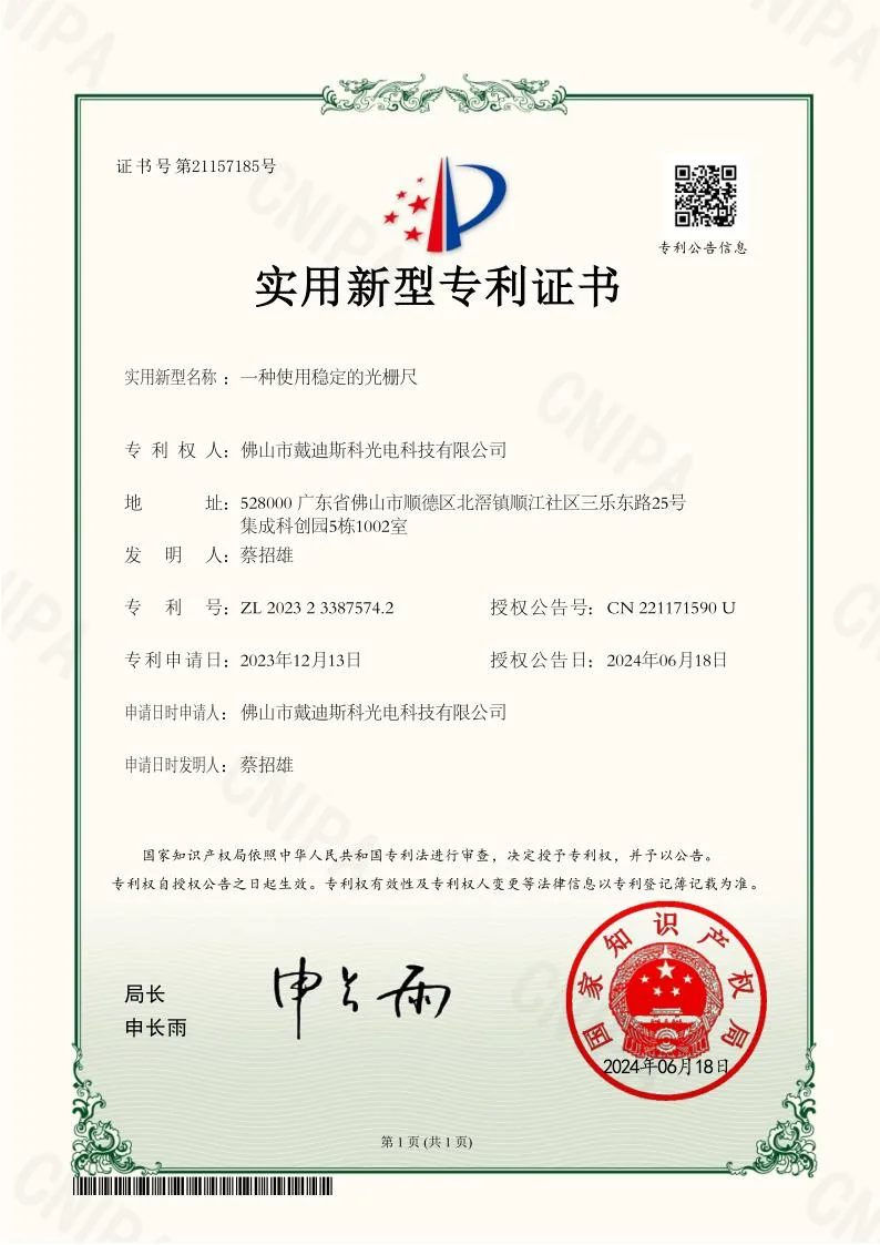 DAIDISIKE certificate patent-stable-grating-scale